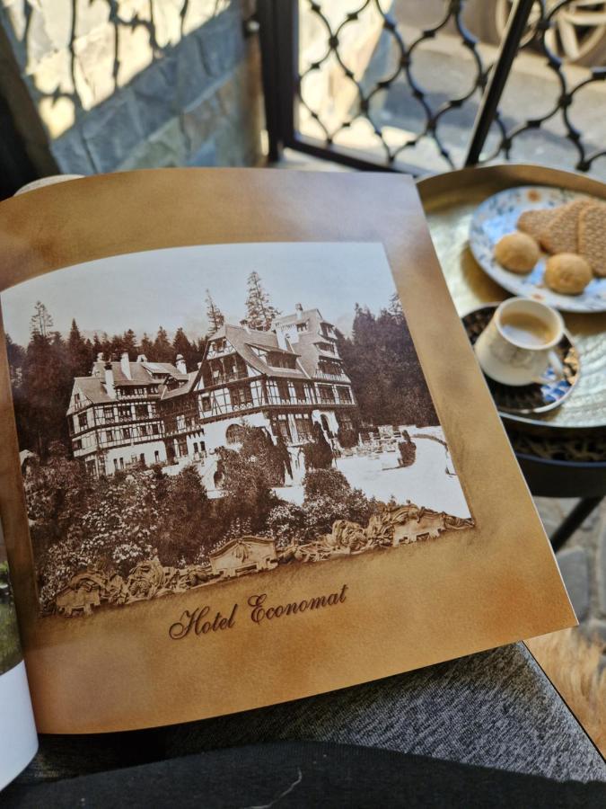 Вилла Sinaia Veche Экстерьер фото