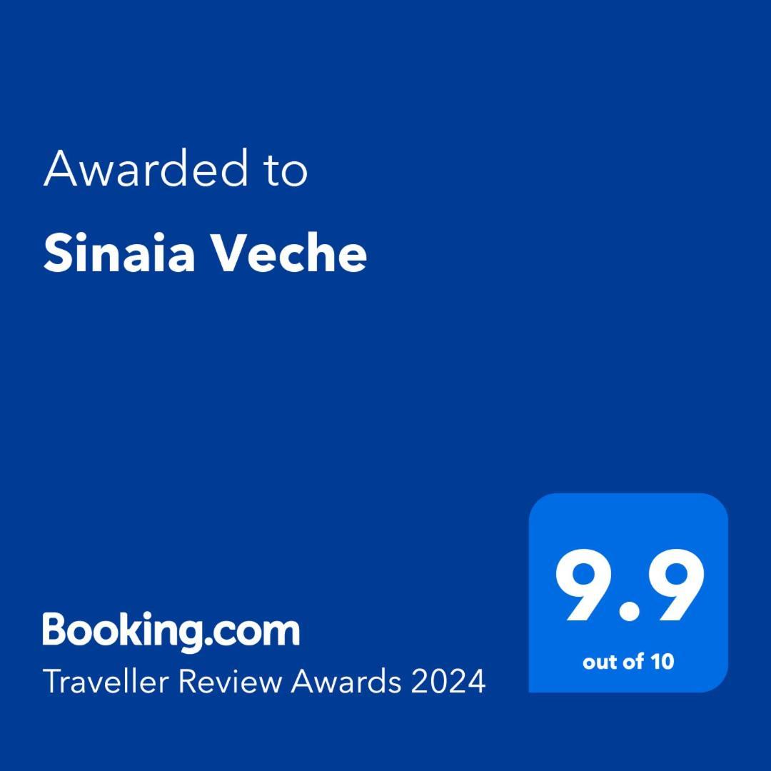 Вилла Sinaia Veche Экстерьер фото